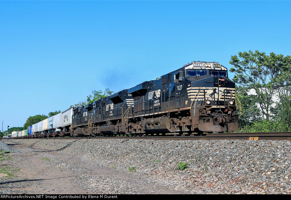 NS 7637 on 23G